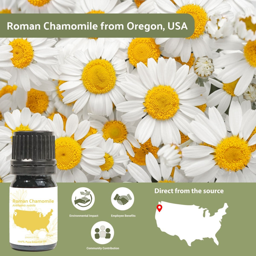 Roman Chamomile Essential Oil - From Essential Oils Oregon, USA - Nature Packaged