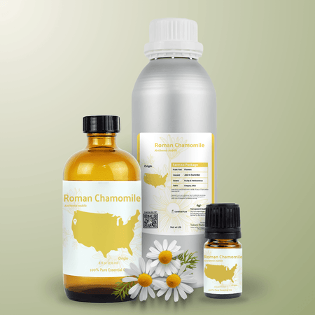 Roman Chamomile Essential Oil- From Essential Oils Oregon, USA