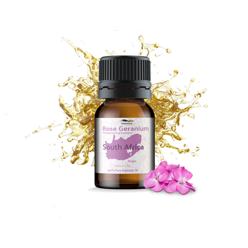 Rose Geranium Essential Oil - From KwaZulu Botanicals - Nature Packaged