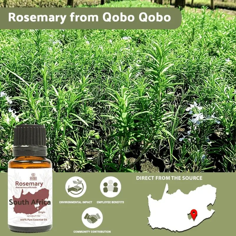 Rosemary Essential Oil - From Qobo Qobo - Nature Packaged