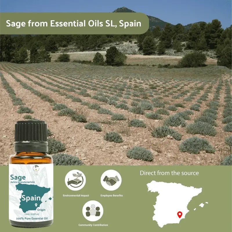 Sage Essential Oil - From Essential Oils SL - Nature Packaged