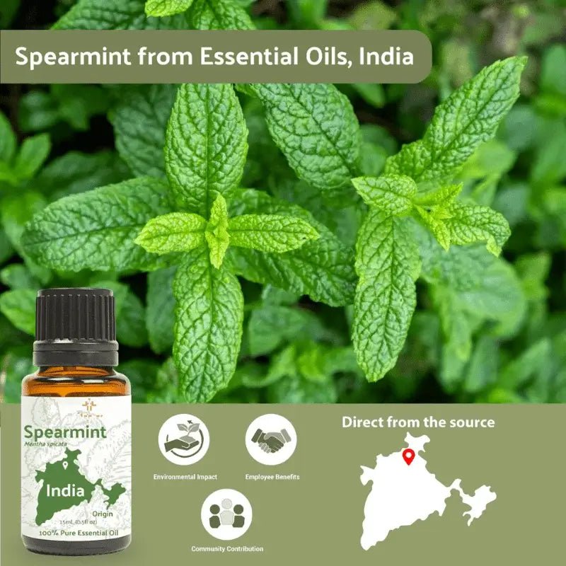 Spearmint Essential Oil - From Essential Oils India - Nature Packaged
