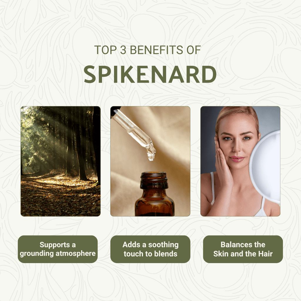 Spikenard Organic Essential Oil - From Annapurna Aroma Essential Oils - Nature Packaged