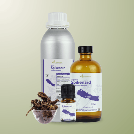 Organic Spikenard Essential Oil - From Annapurna Aroma Essential Oils
