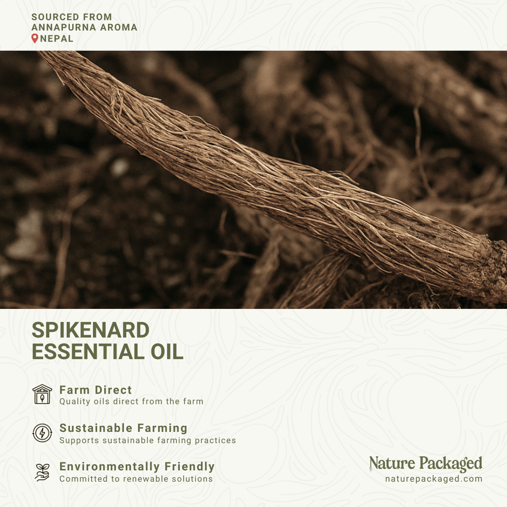 Spikenard Organic Essential Oil - From Annapurna Aroma Essential Oils - Nature Packaged
