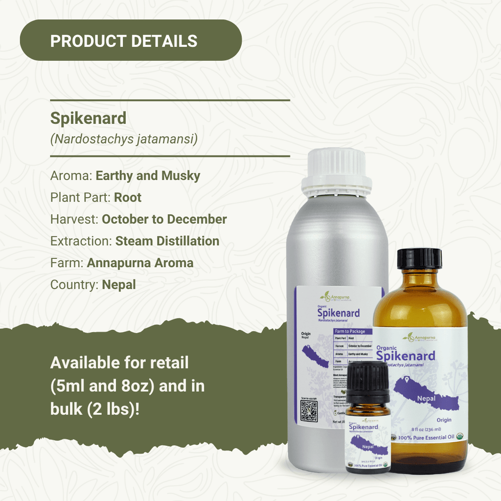 Spikenard Organic Essential Oil - From Annapurna Aroma Essential Oils - Nature Packaged