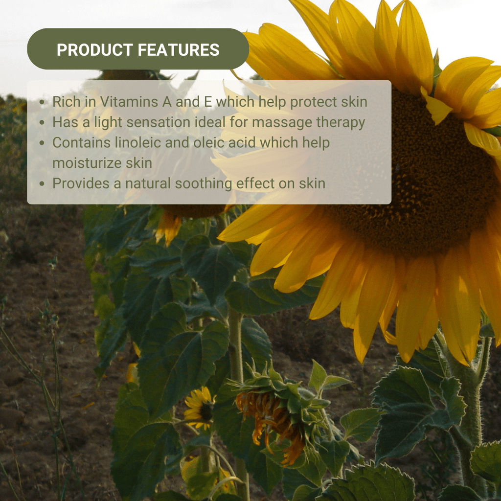 Sunflower Carrier Oil - From EIR Oils - Nature Packaged