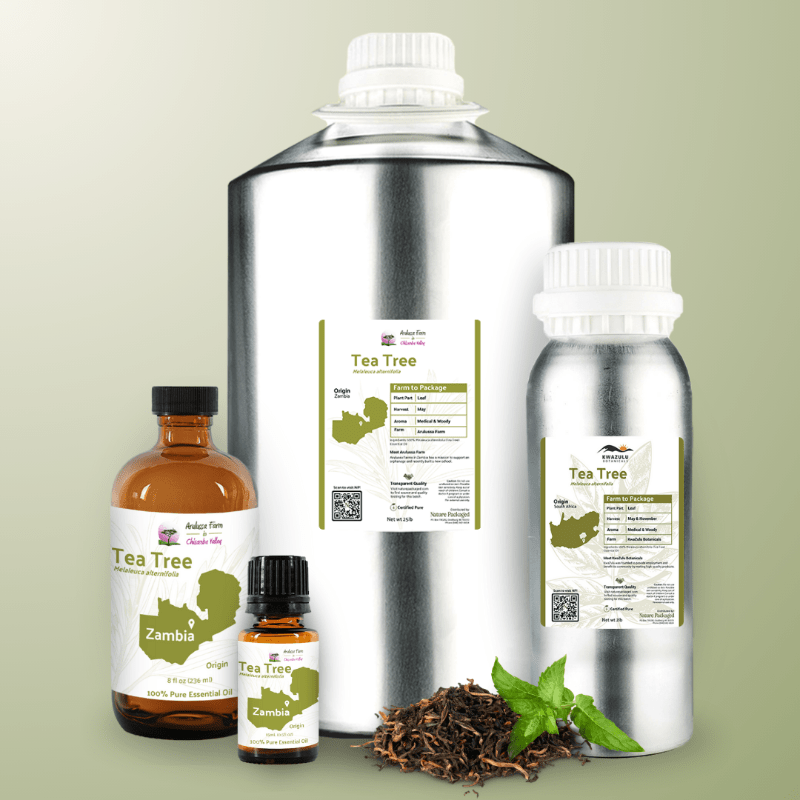 Tea Tree Essential Oil - From Arulussa Farm - Nature Packaged