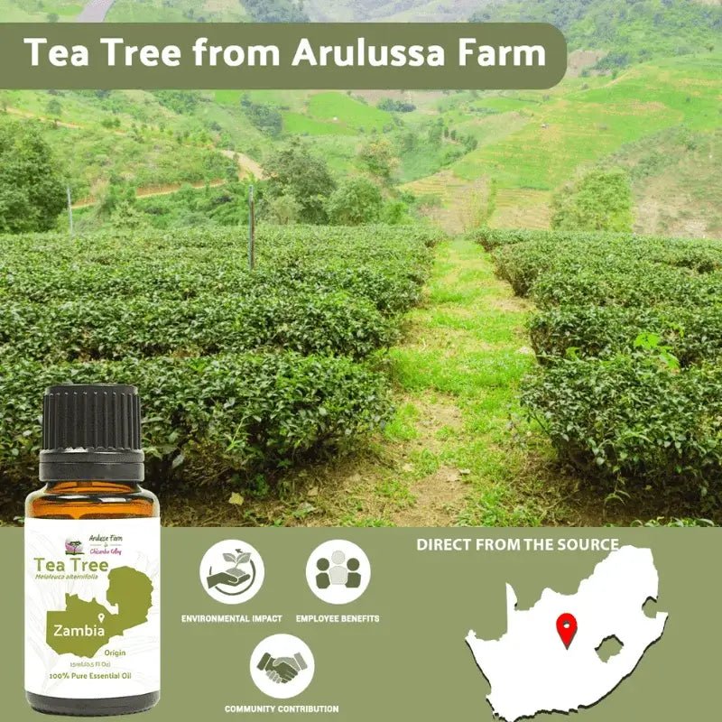 Tea Tree Essential Oil - From Arulussa Farm - Nature Packaged