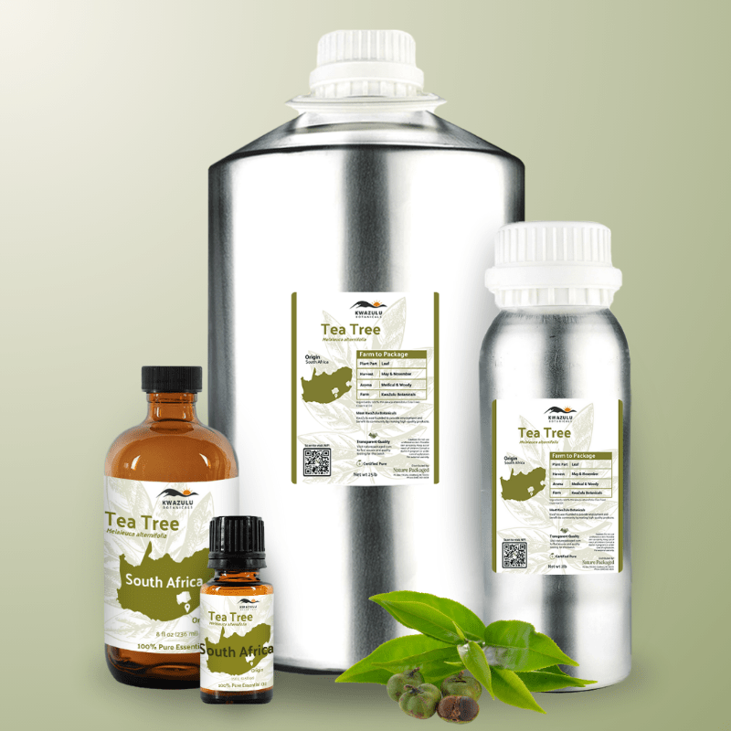 Tea Tree Essential Oil - From KwaZulu Botanicals - Nature Packaged