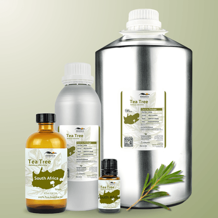 Tea Tree Essential Oil - From KwaZulu Botanicals