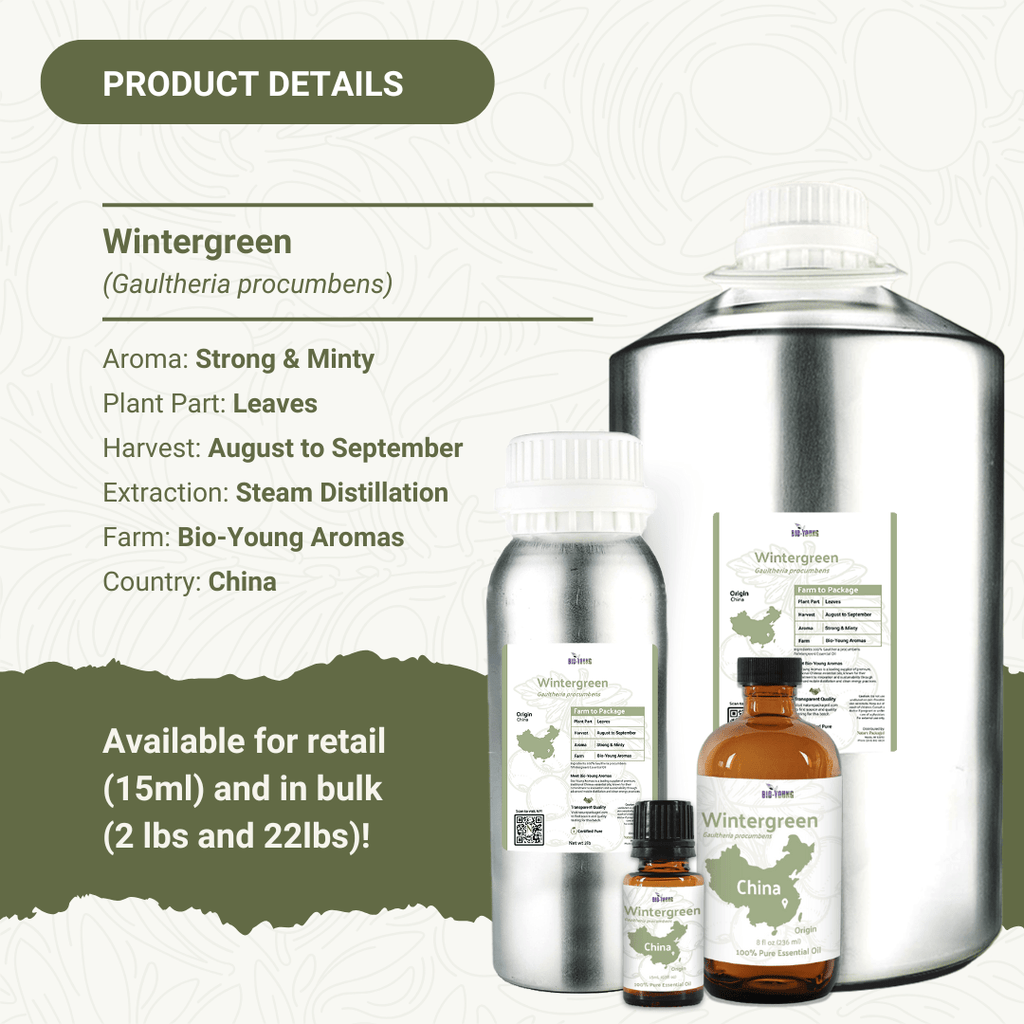 Wintergreen Essential Oils - From Bio - Young Aromas - Nature Packaged