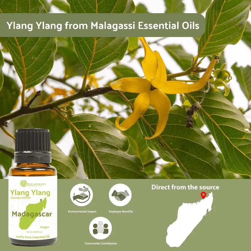Ylang Ylang Essential Oil - From Malagassi Essential Oils - Nature Packaged
