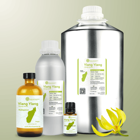 Ylang Ylang Essential Oil- From Malagassi Essential Oils